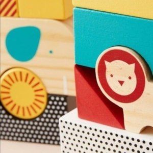 animal town wooden blocks
